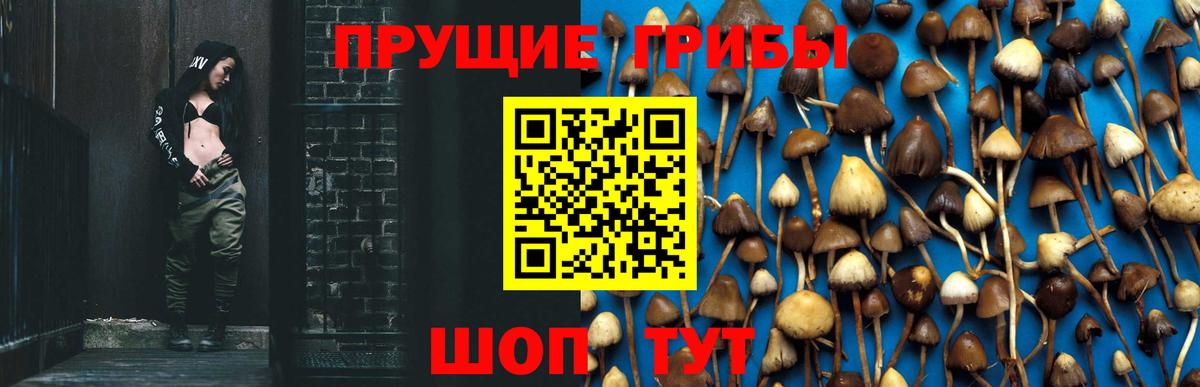 Жуковский  Галлюциногенные грибы ЛСД  Вход с VPN 